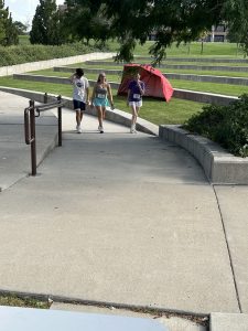img 5338